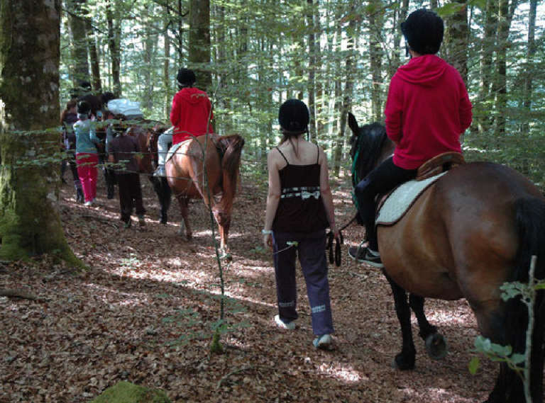 Randonnée équestre, Chamberet Pleine Nature