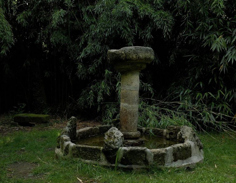Maison de l'Arbre et de la Nature Chamberet