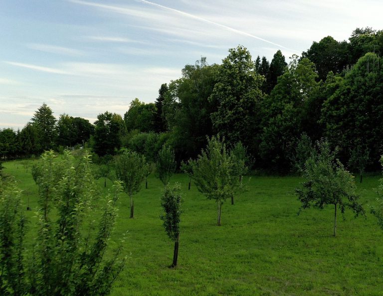 Maison de l'Arbre et de la Nature Chamberet