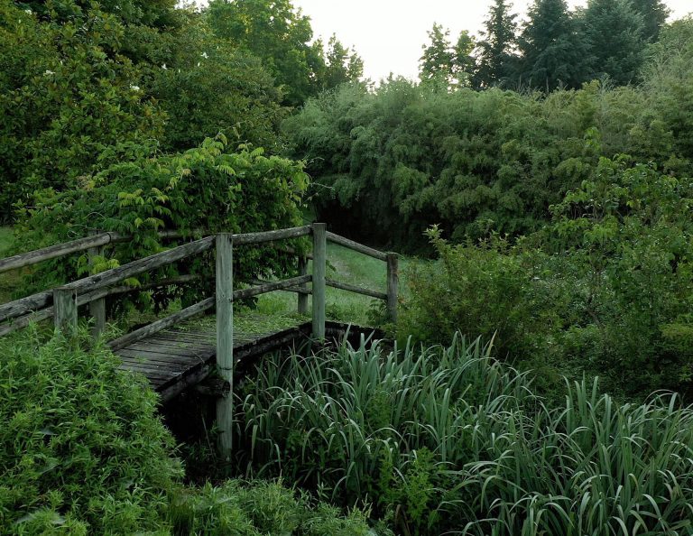 Maison de l'Arbre et de la Nature Chamberet