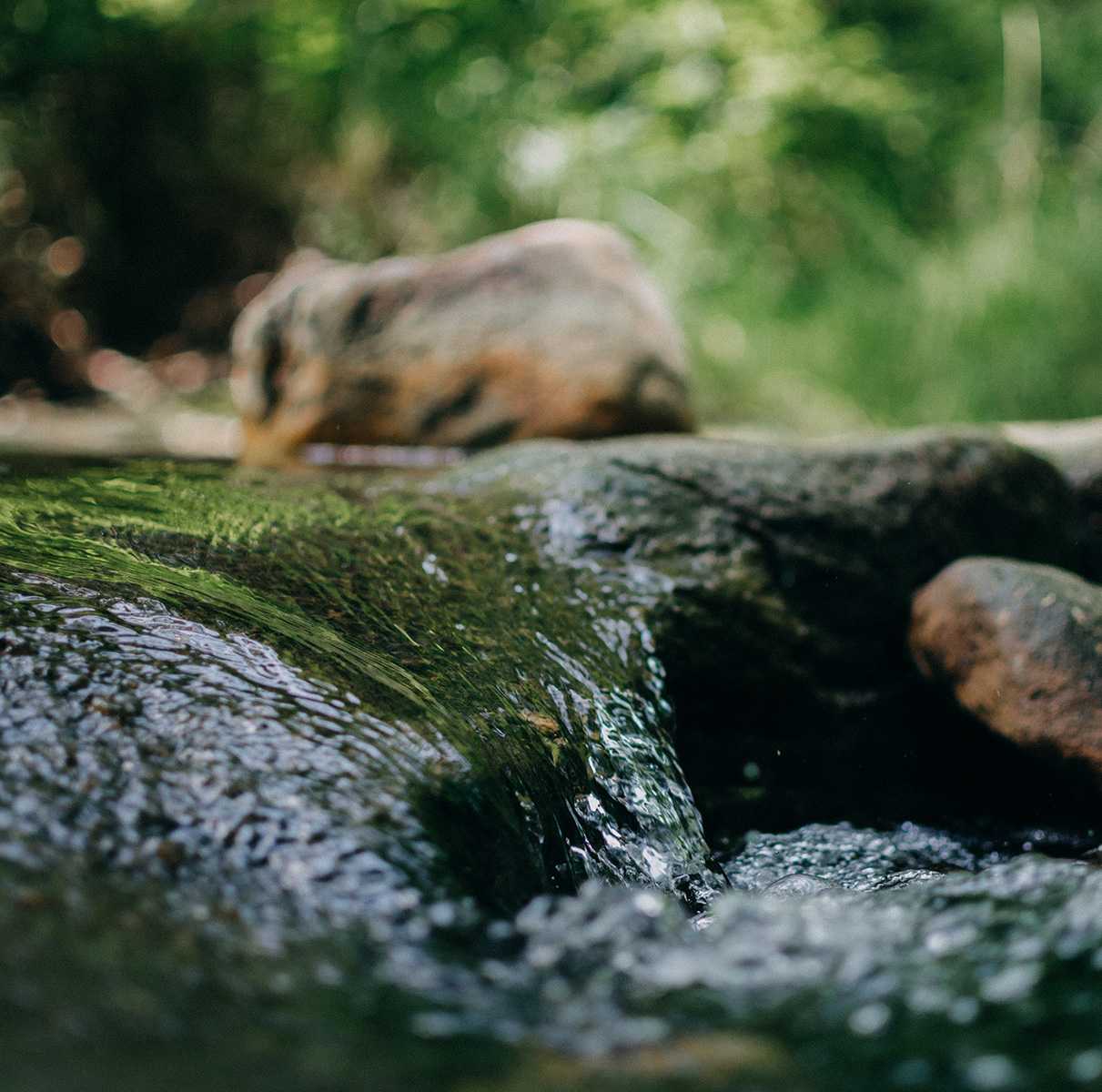 Les Milles Sources | La Maison de l'Arbre et de la Nature